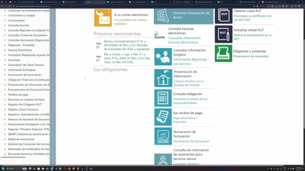 Rol Único Tributario: Guía Completa. Tablero de control DIAN mostrando servicios disponibles con Rol Único Tributario activo.