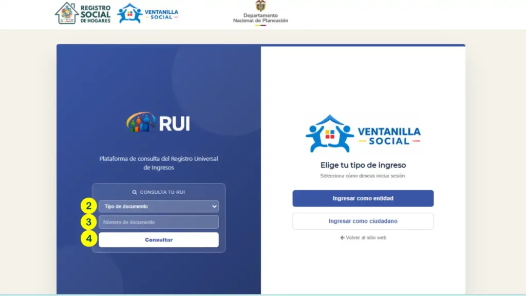 Formulario para consultar el RUI con los campos tipo de documento, número de documento y el botón Consultar