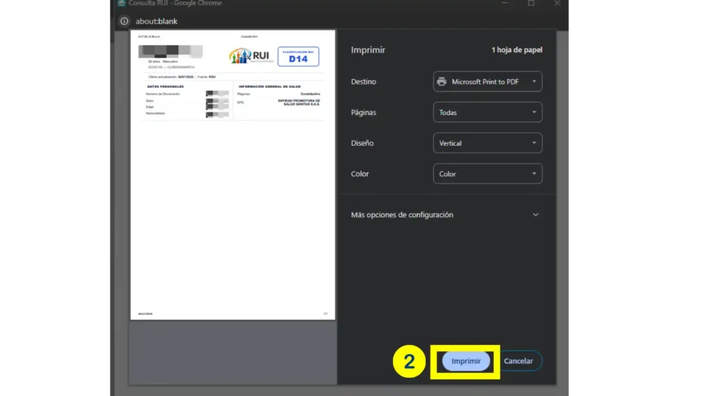 Ventana de impresión del navegador con el destino configurado como Microsoft Print to PDF para el certificado del RUI